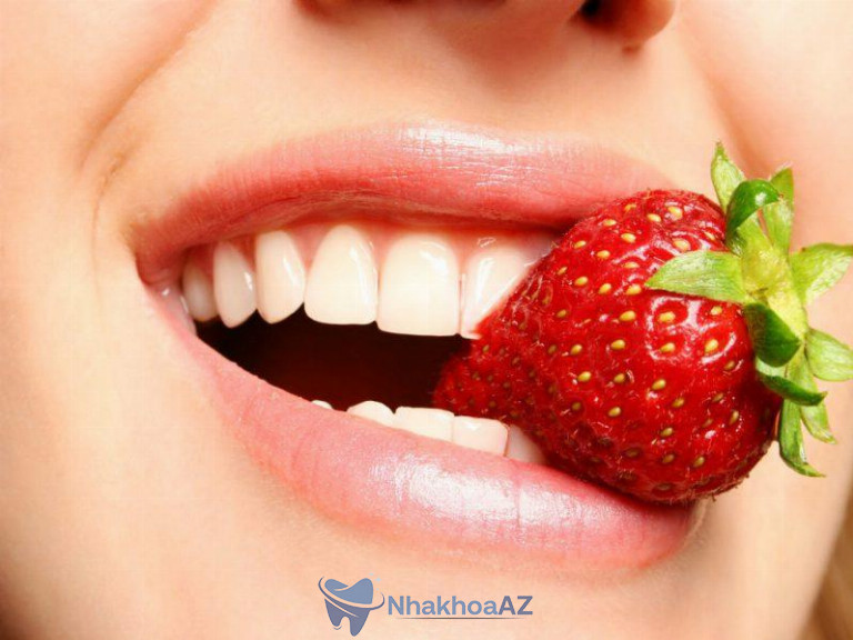 Răng nanh có vai trò rất quan trọng đối với chức năng ăn nhai